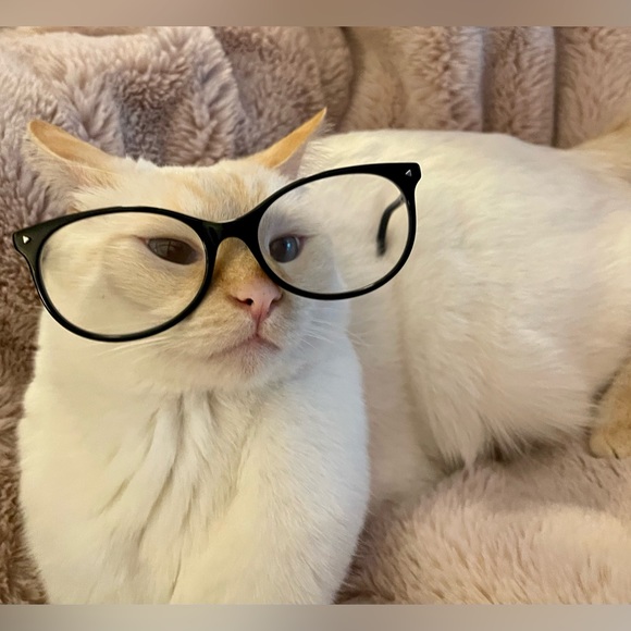 Here is my Posh story π€ππ€ππ€π - Picture 10 of 11